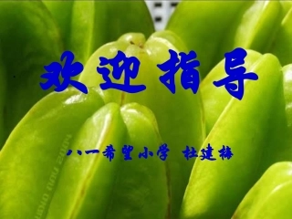 画杨桃幻灯片