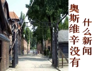《奥斯维辛没有什么新闻》