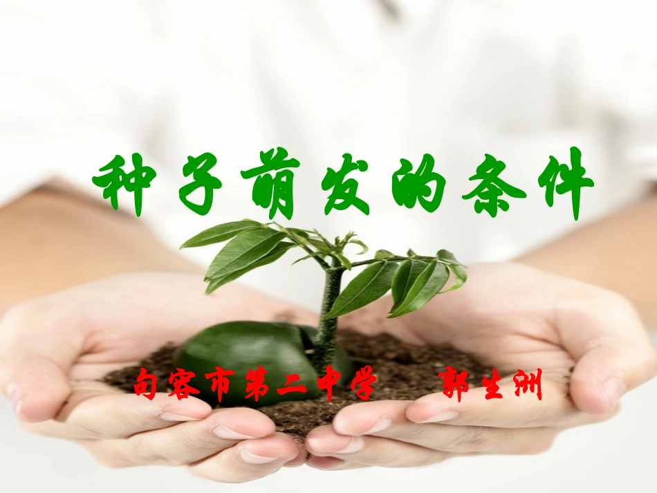 种子的萌发课件_第1页