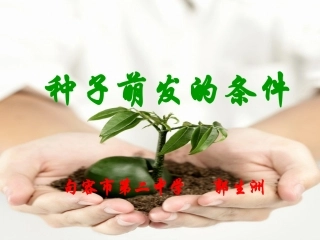 种子的萌发课件