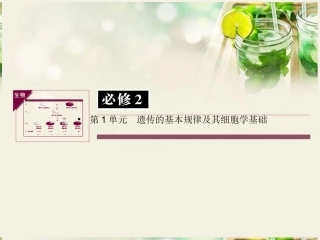 【状元之路】(新课标通用)2014高考生物一轮复习-第14讲-孟德尔的豌豆杂交实验(一)课件