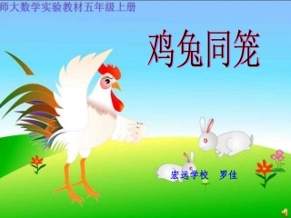 鸡兔同笼 (5)