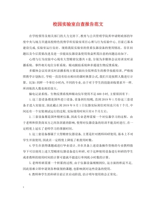 校园实验室自查报告范文 