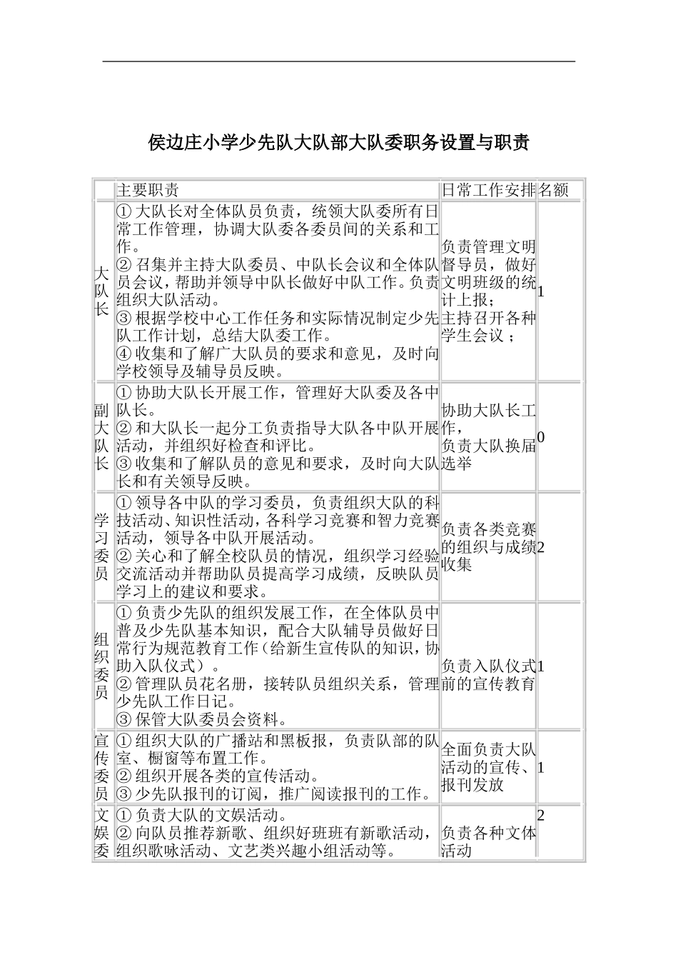 XX小学大队委竞选活动方案_第2页