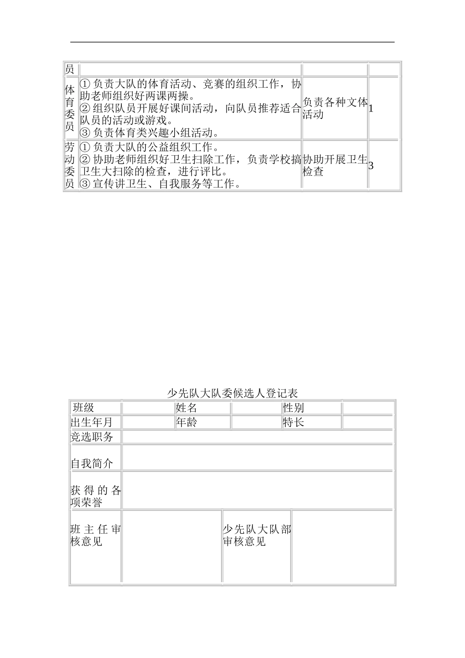 XX小学大队委竞选活动方案_第3页