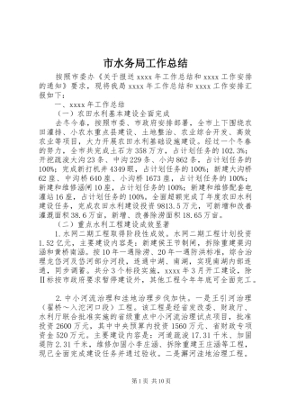 市水务局工作总结 