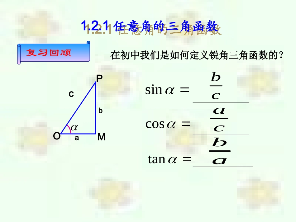 三角函数的定义_第2页