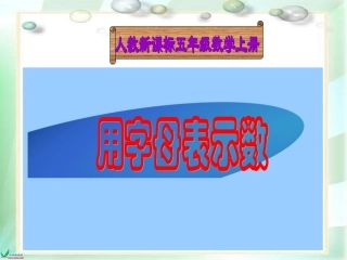 人教新课标数学五年级上册《用字母表示数7》PPT课件