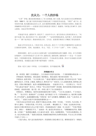 沈从文，一个人的沙场 (2)