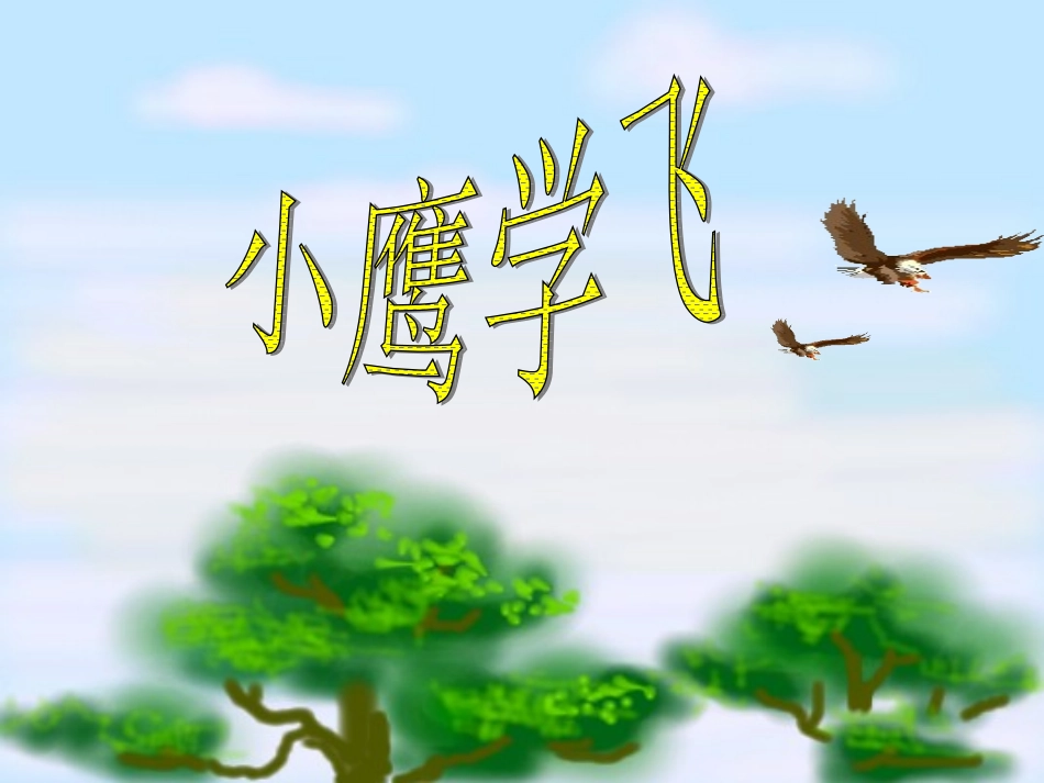 小鹰学飞课件_第1页
