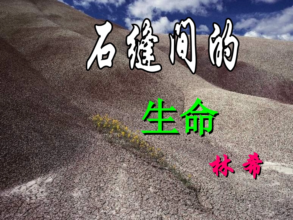 石缝间的生命_第2页