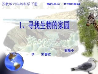 寻找生物的家园课件