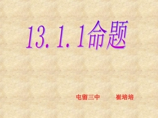 13.1.1.1.1命题
