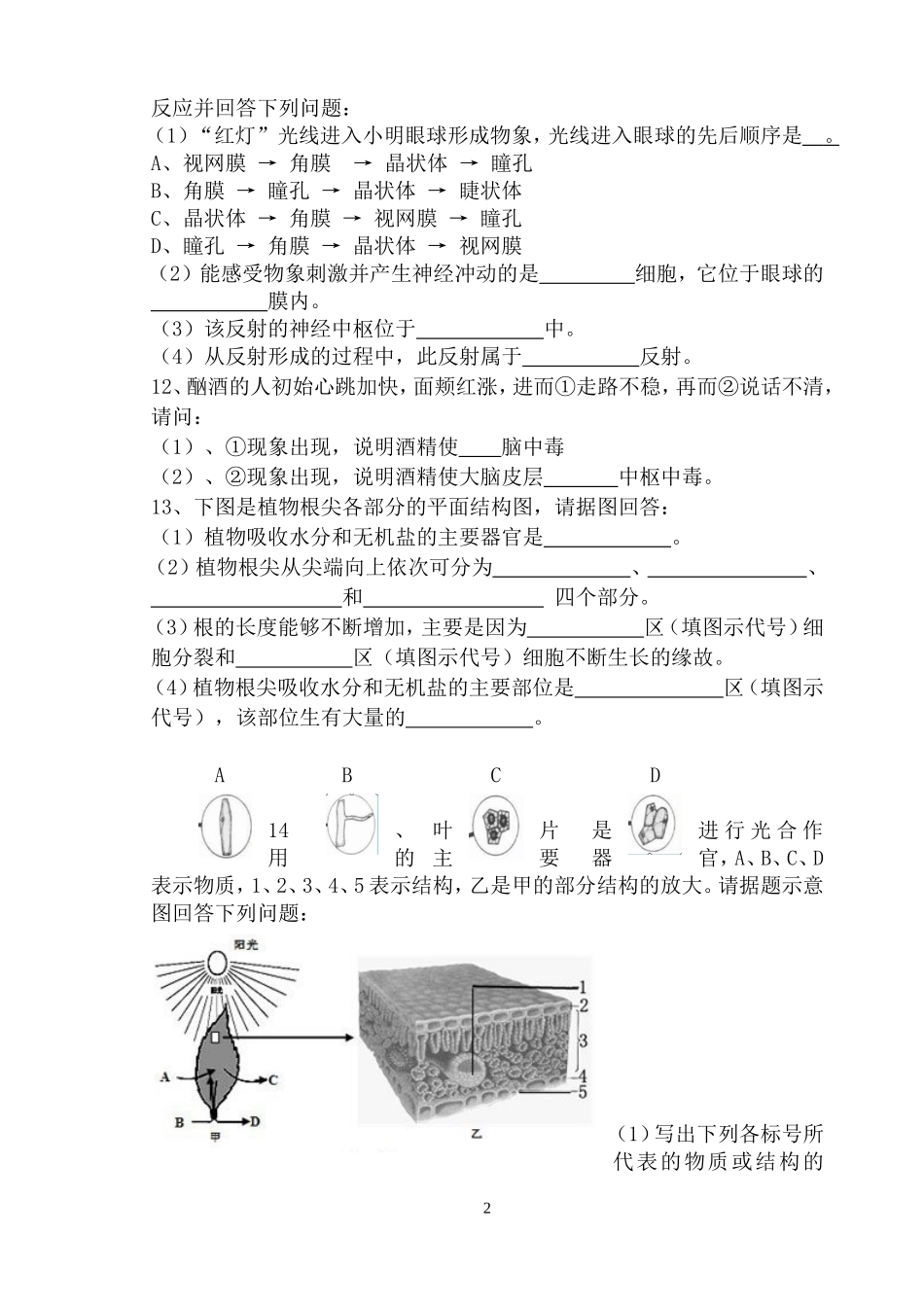 2014九年级第三次月考试题.doc_第2页