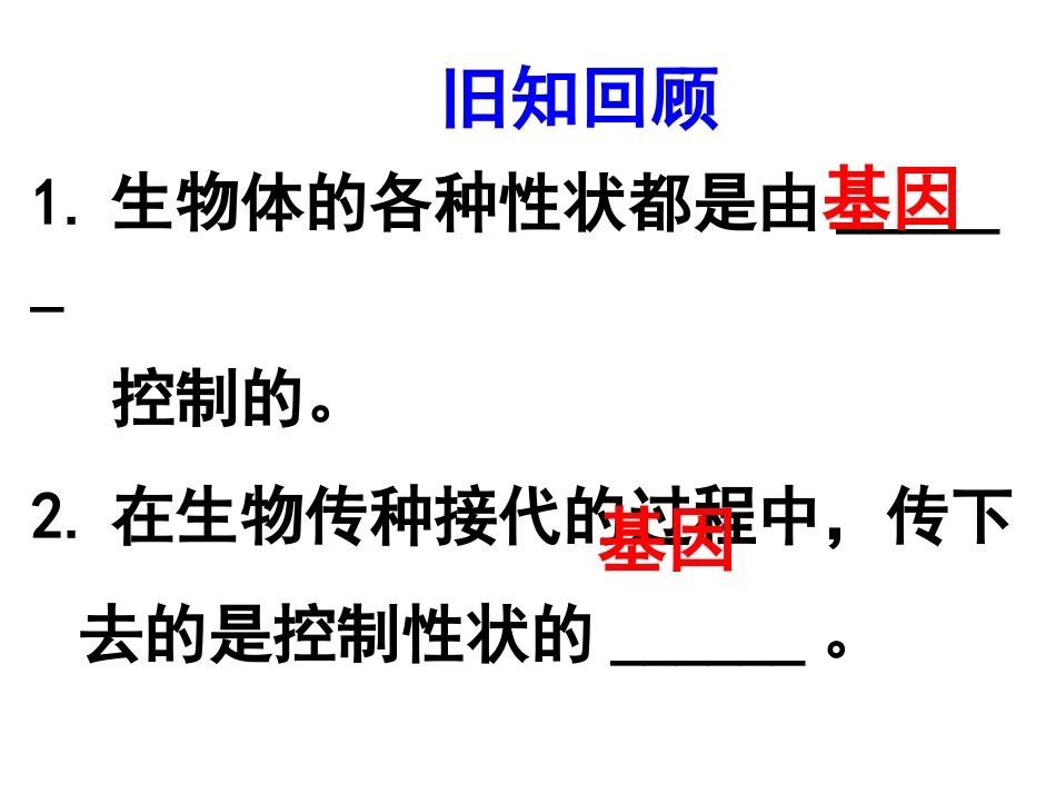 2.2基因在亲子间的传递_第2页