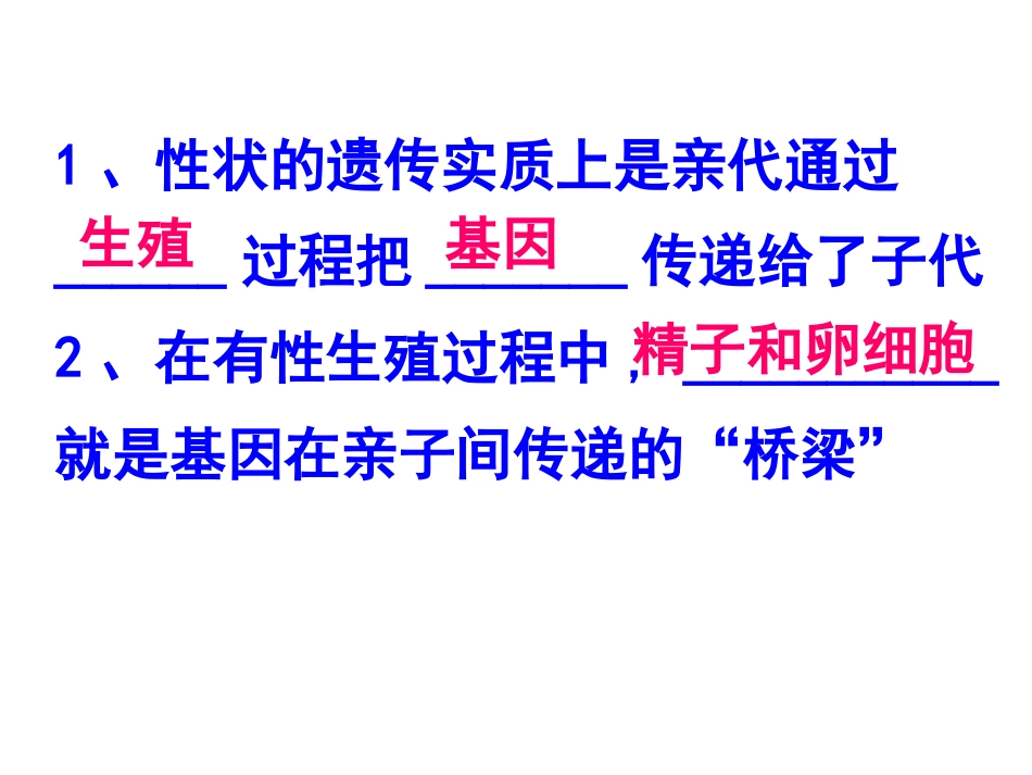 2.2基因在亲子间的传递_第3页