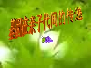 2.2基因在亲子间的传递