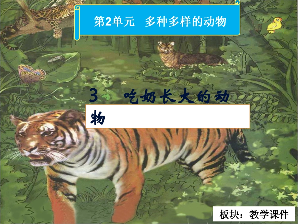 三年级科学《吃奶长大的动物》_教学课件_第2页