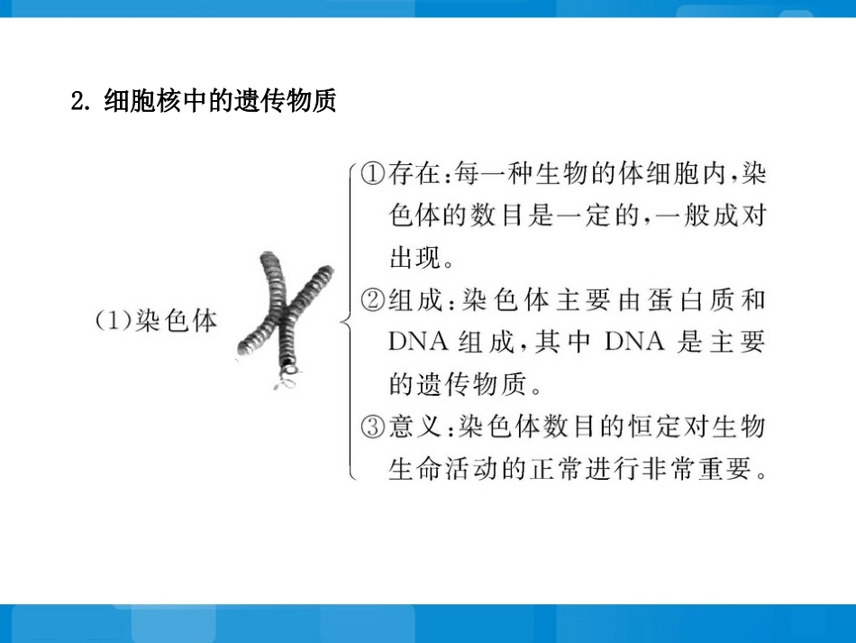 《生物的遗传和变异》阶段复习课参考课件_第3页