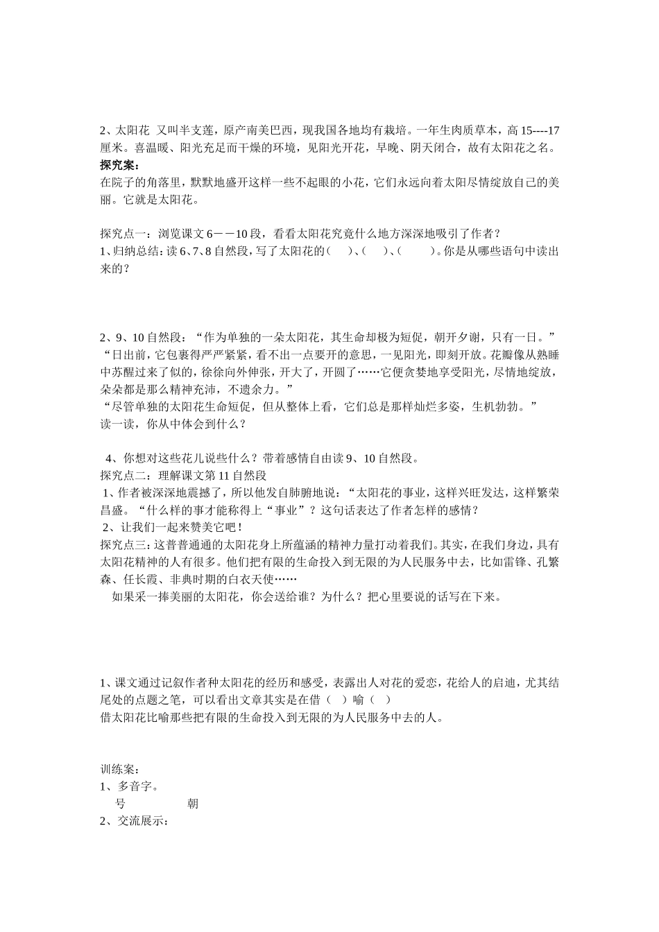 种一片太阳花_第2页