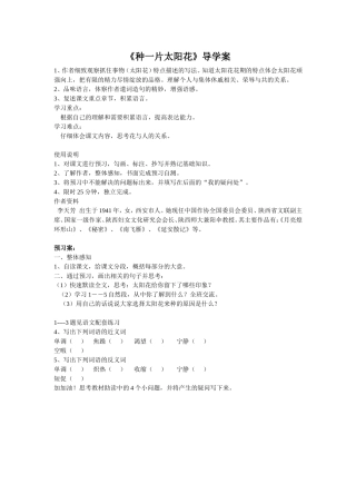 种一片太阳花