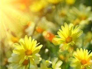 当你生气的时候