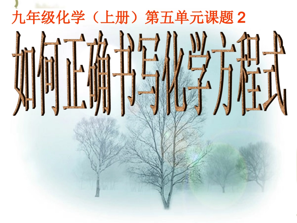 方程式的书写_第1页