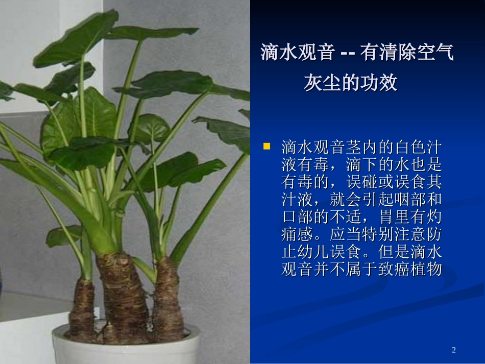 常见的室内盆栽植物的功效_第2页