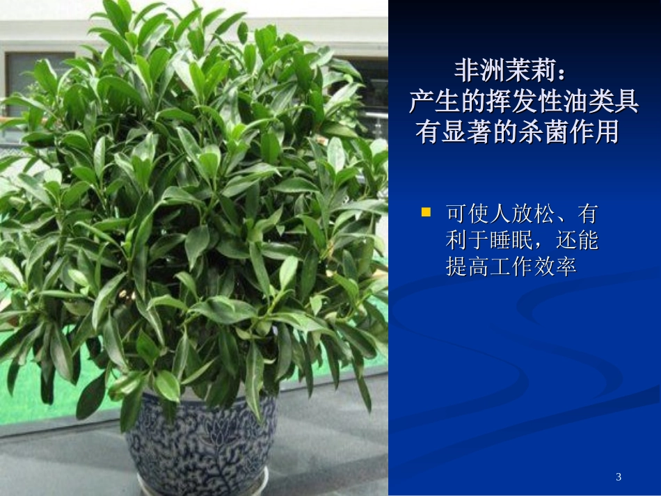 常见的室内盆栽植物的功效_第3页