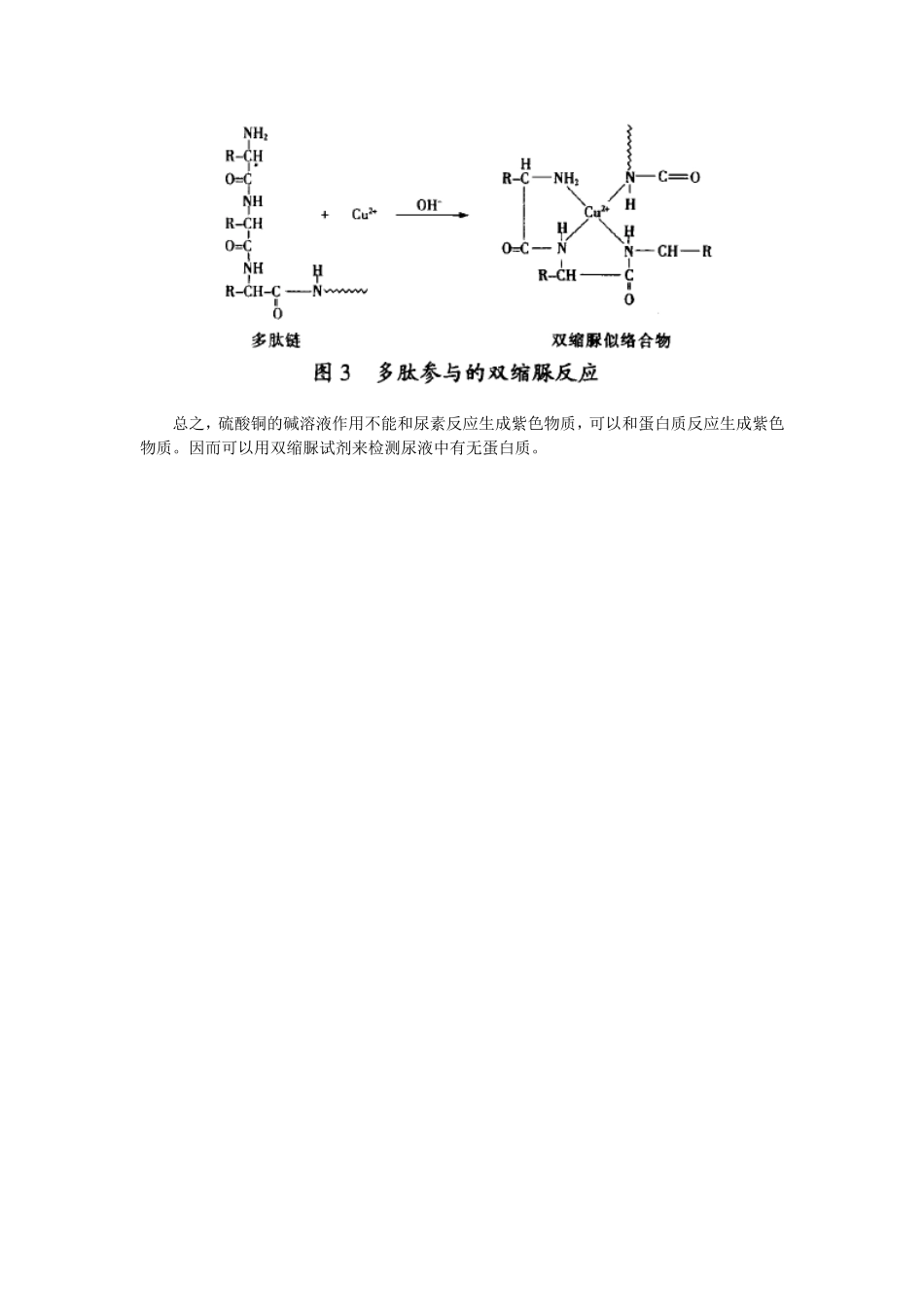 双缩脲试剂能用于尿液中蛋白质的检测吗_第2页