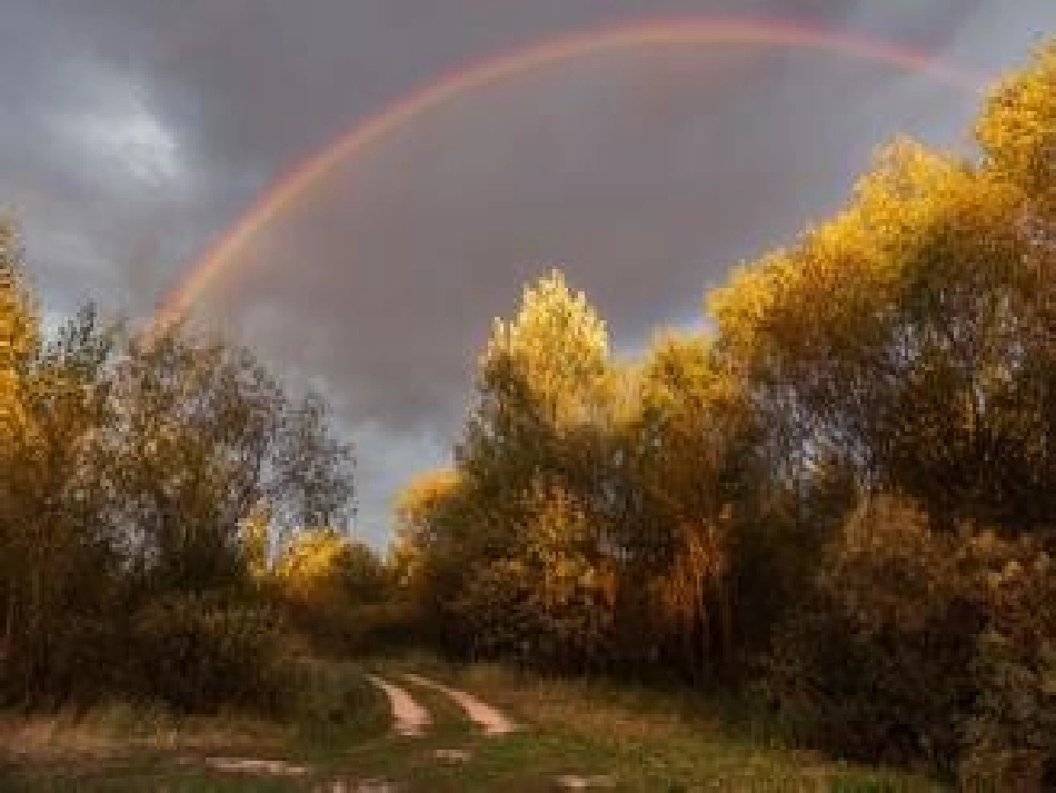 (部编)人教语文2011课标版一年级下册11、彩虹---第一课时_第2页