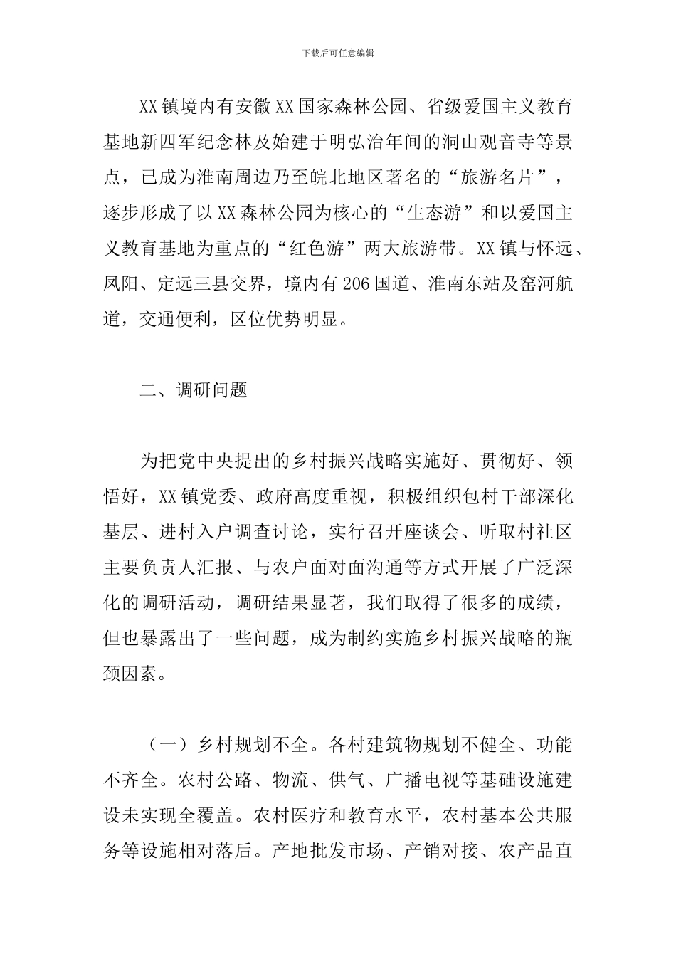 2024年推进乡村振兴战略调研报告_第2页