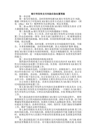 银行突发性支付风险应急处置预案