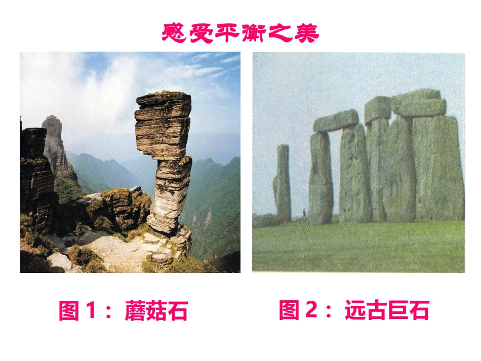 共点力力的平衡课件_第2页