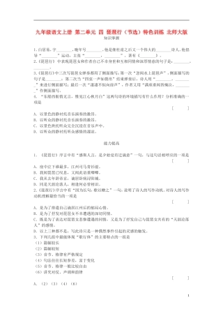 九年级语文上册-第二单元-四-琵琶行(节选)特色训练-北师大版