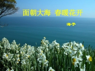 面朝大海春暖花开(讲课用)