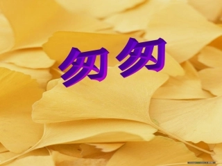 《匆匆》课件