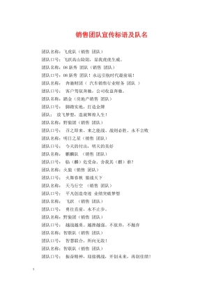 销售团队宣传标语及队名 