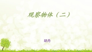 小学数学2011版本小学四年级观察物体-(3)