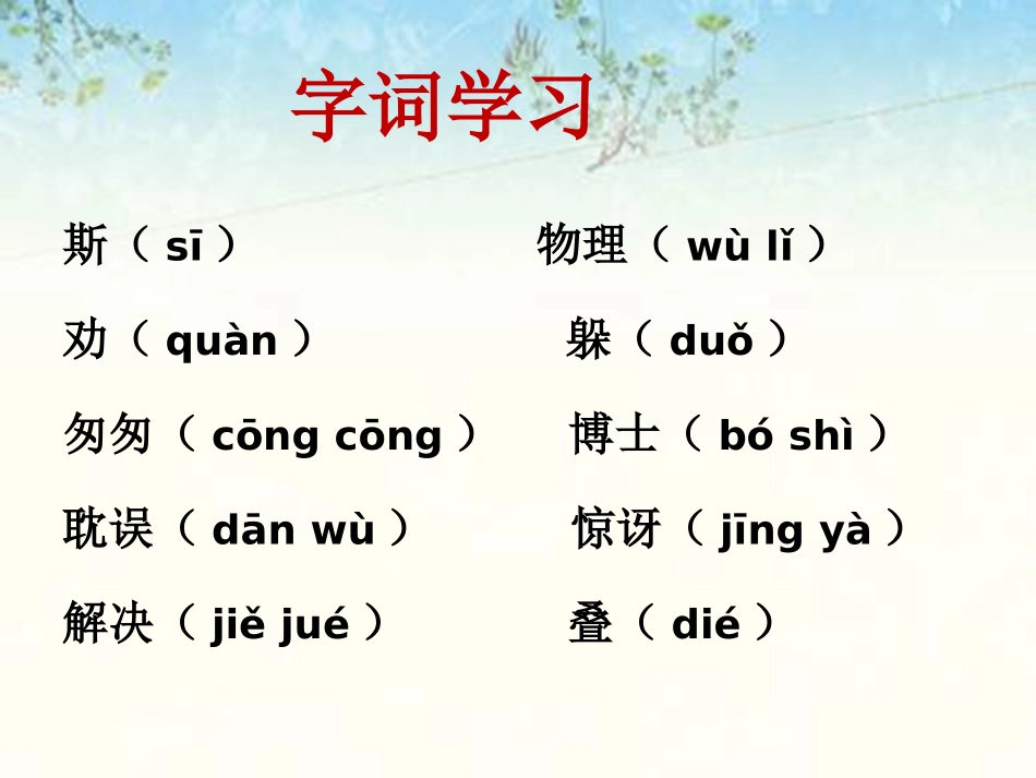 《爱因斯坦》课件_第3页