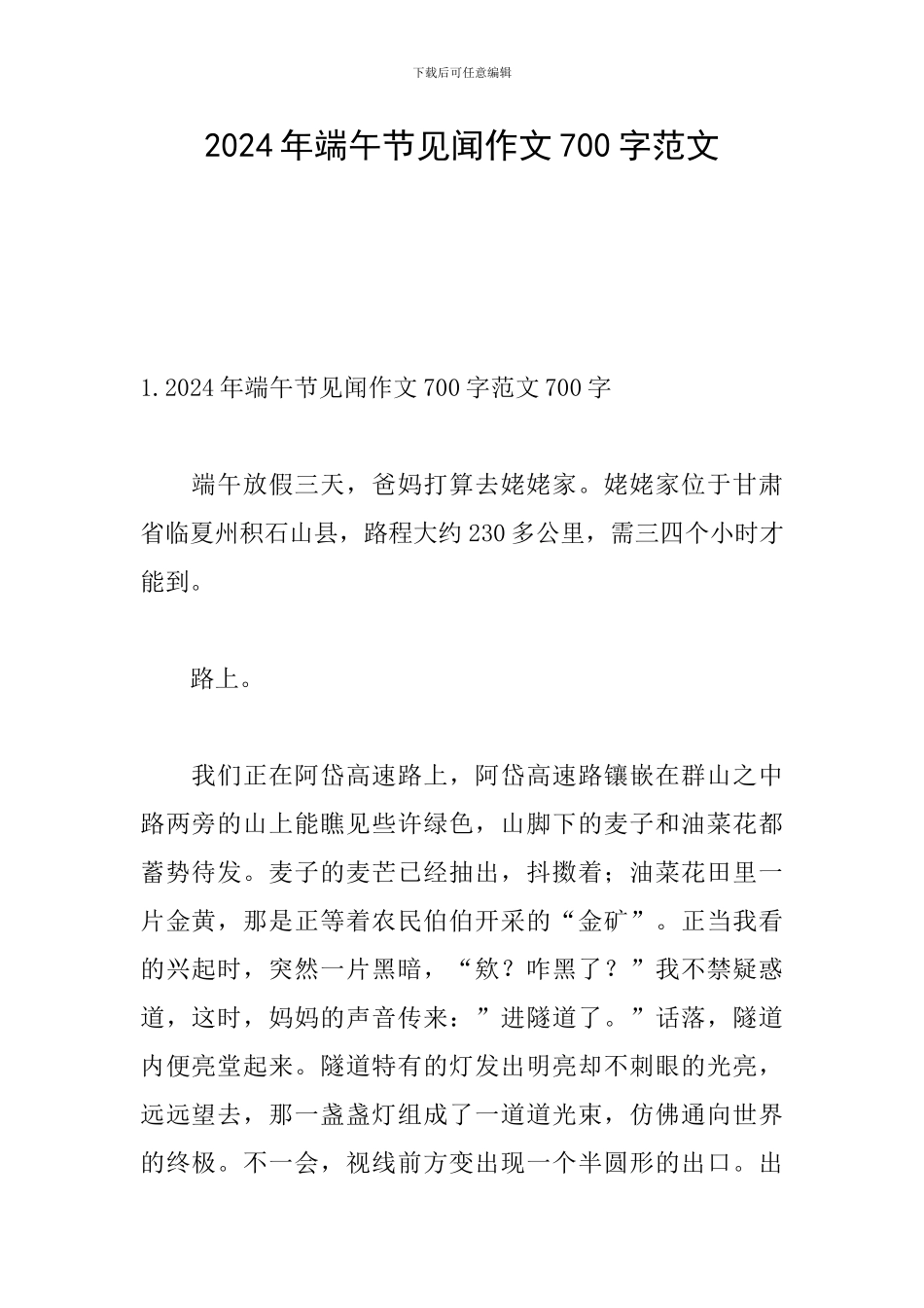 2024年端午节见闻作文700字范文_第1页