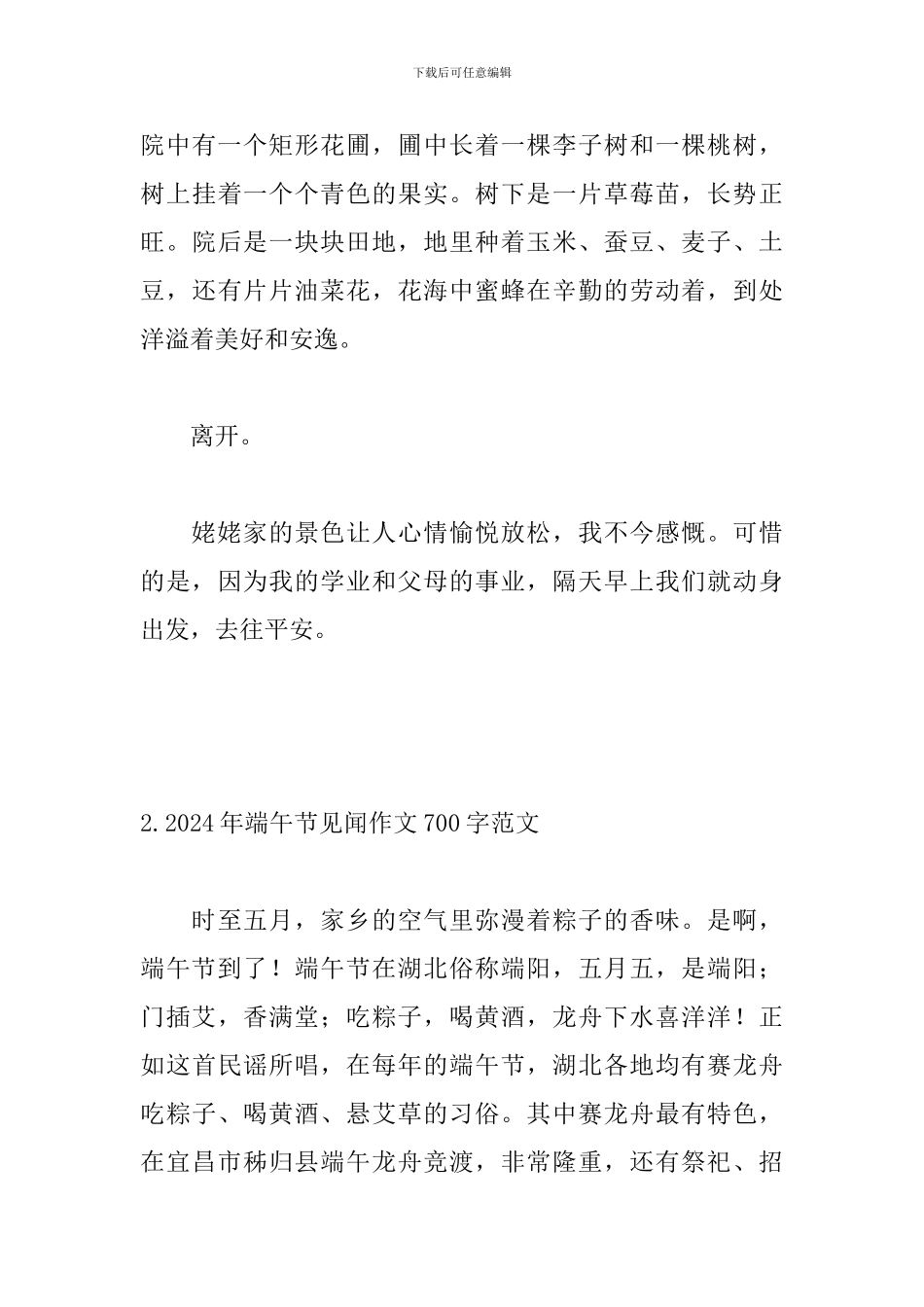 2024年端午节见闻作文700字范文_第3页