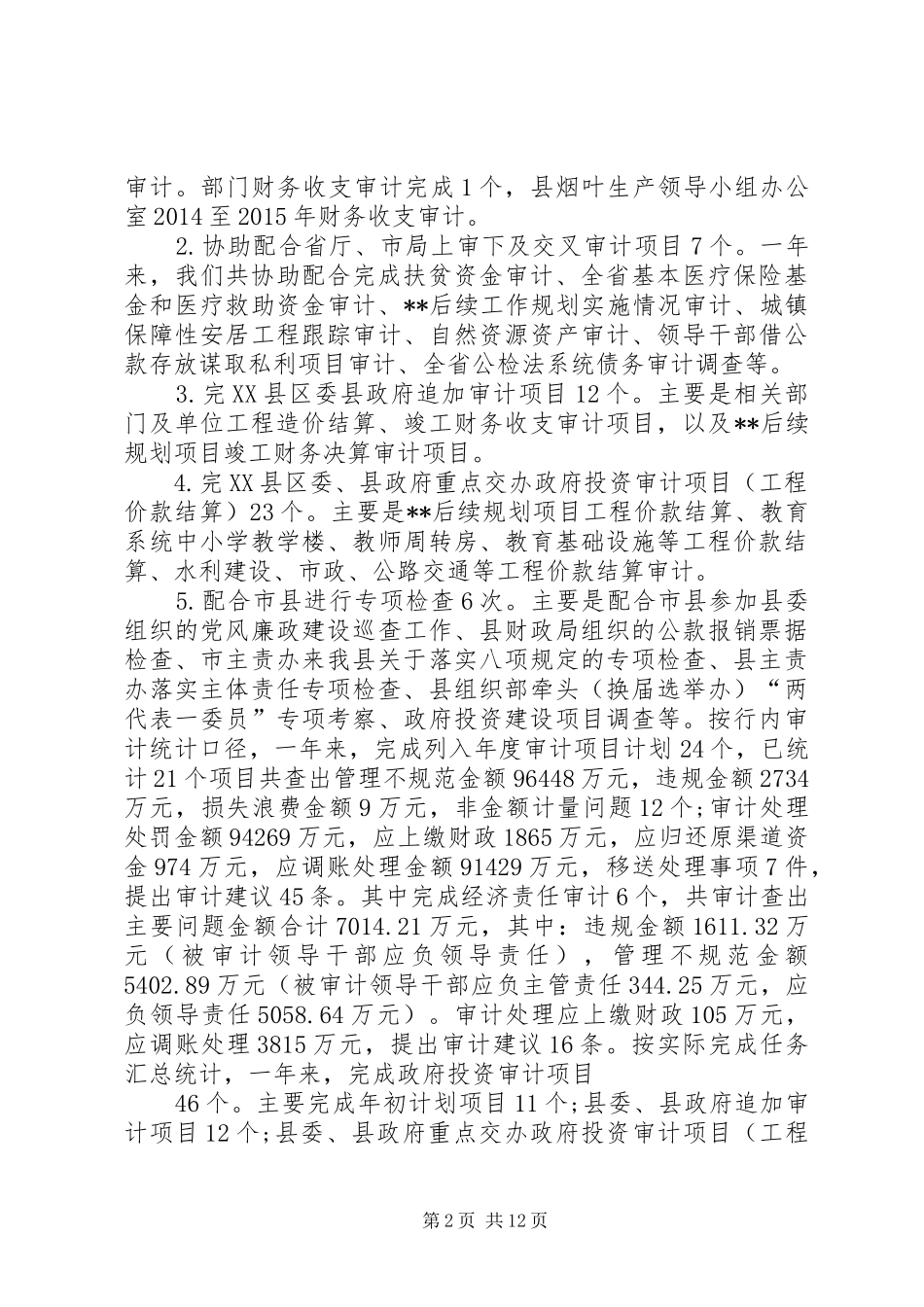 县审计局XX年度审计工作总结 _第2页