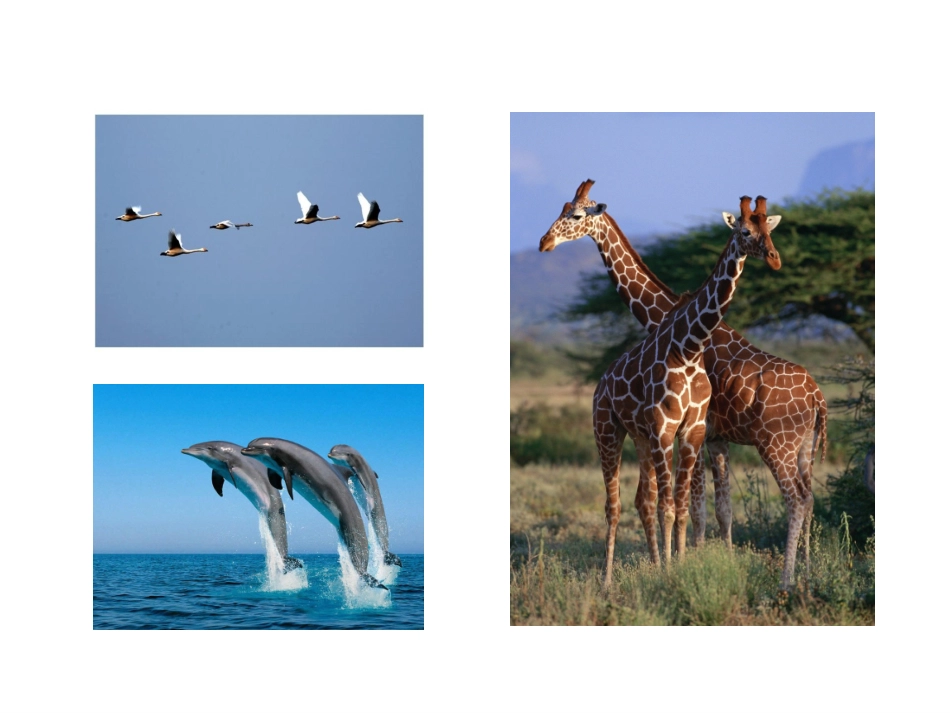 生命独特而可贵_第2页