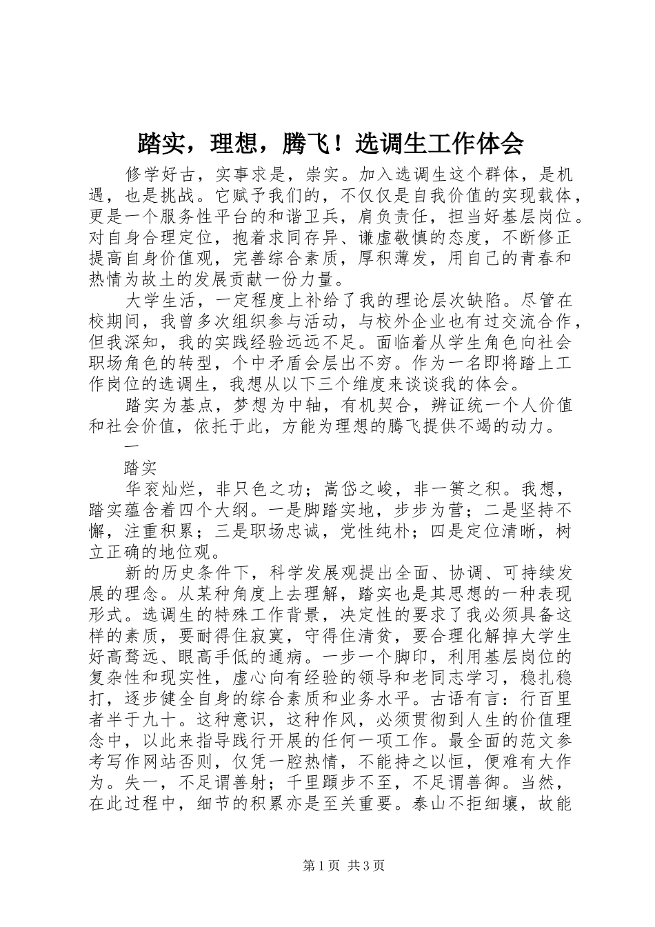 踏实，理想，腾飞！选调生工作体会_第1页