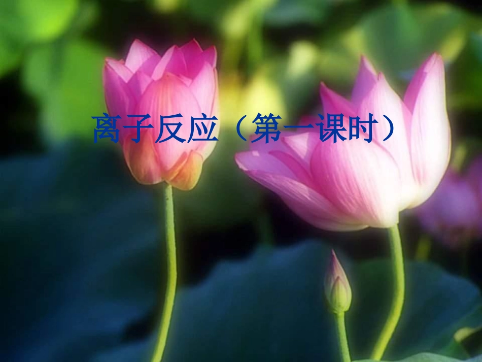 离子反应第一课_第1页