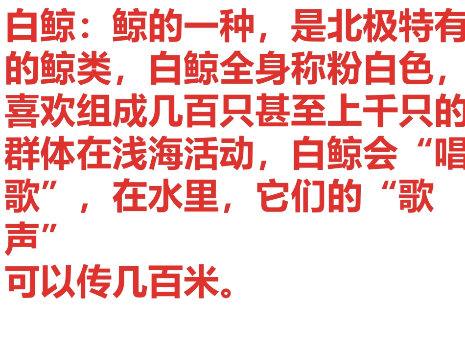 喜爱音乐的白鲸_第2页