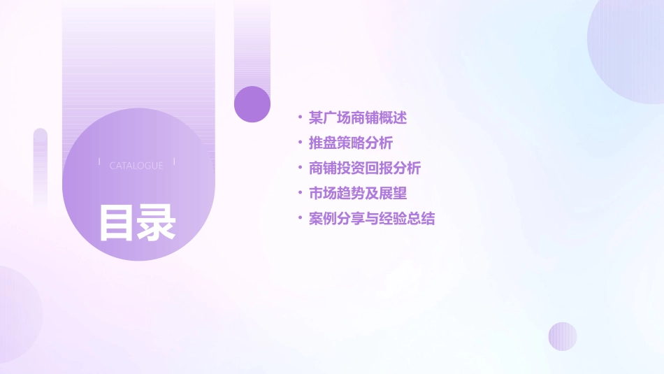 某广场商铺推盘报告课件_第2页