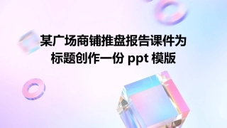 某广场商铺推盘报告课件