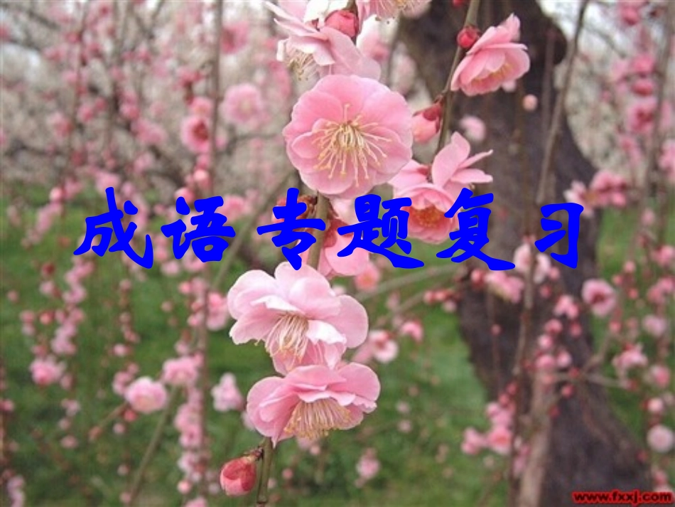“2015中考成语专题复习”课件_第1页